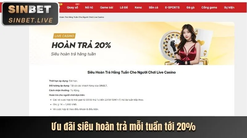 Minh họa đa dạng các loại hình khuyến mãi tại 55cv